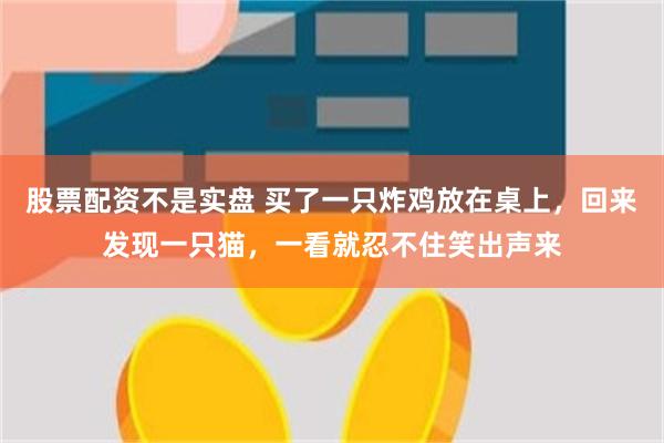 股票配资不是实盘 买了一只炸鸡放在桌上，回来发现一只猫，一看就忍不住笑出声来