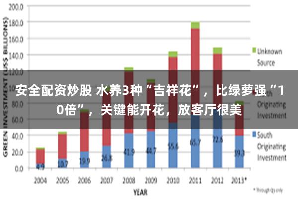 安全配资炒股 水养3种“吉祥花”，比绿萝强“10倍”，关键能