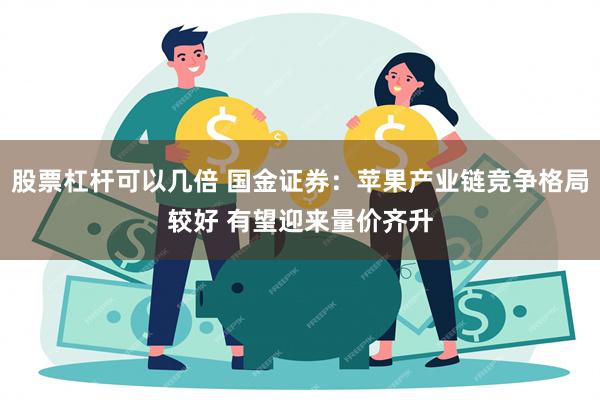 股票杠杆可以几倍 国金证券：苹果产业链竞争格局较好 有望迎来