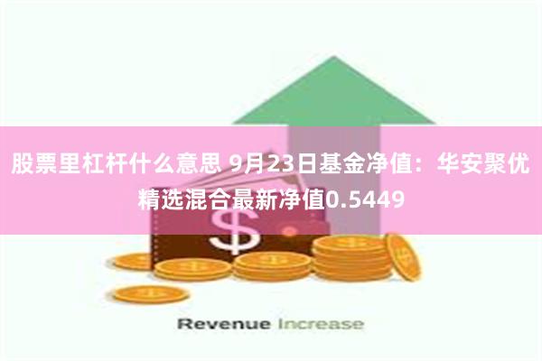 股票里杠杆什么意思 9月23日基金净值：华安聚优精选混合最新