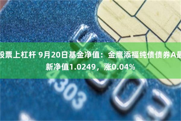 股票上杠杆 9月20日基金净值：金鹰添福纯债债券A最新净值1