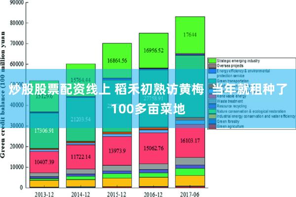 炒股股票配资线上 稻禾初熟访黄梅  当年就租种了100多亩菜地