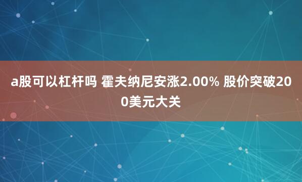 a股可以杠杆吗 霍夫纳尼安涨2.00% 股价突破200美元大关