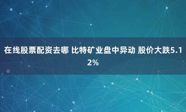 在线股票配资去哪 比特矿业盘中异动 股价大跌5.12%