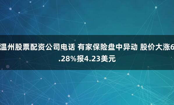 温州股票配资公司电话 有家保险盘中异动 股价大涨6.28%报4.23美元