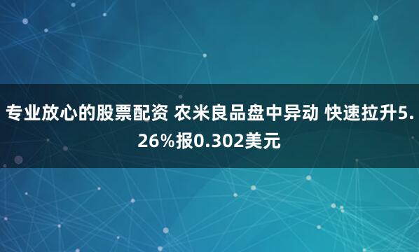 专业放心的股票配资 农米良品盘中异动 快速拉升5.26%报0.302美元