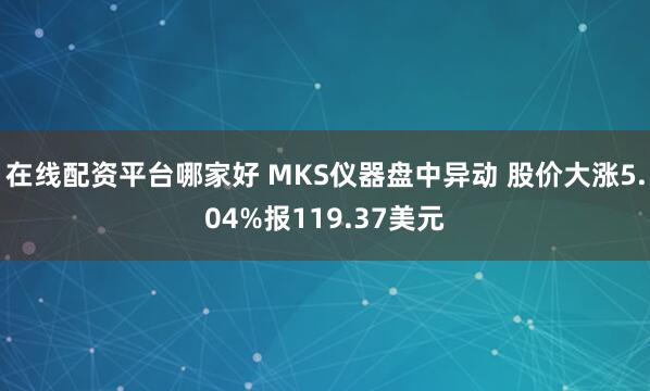 在线配资平台哪家好 MKS仪器盘中异动 股价大涨5.04%报119.37美元