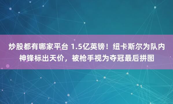 炒股都有哪家平台 1.5亿英镑！纽卡斯尔为队内神锋标出天价，被枪手视为夺冠最后拼图