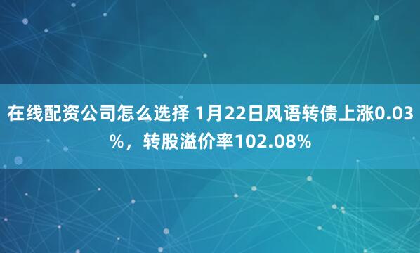 在线配资公司怎么选择 1月22日风语转债上涨0.03%，转股溢价率102.08%