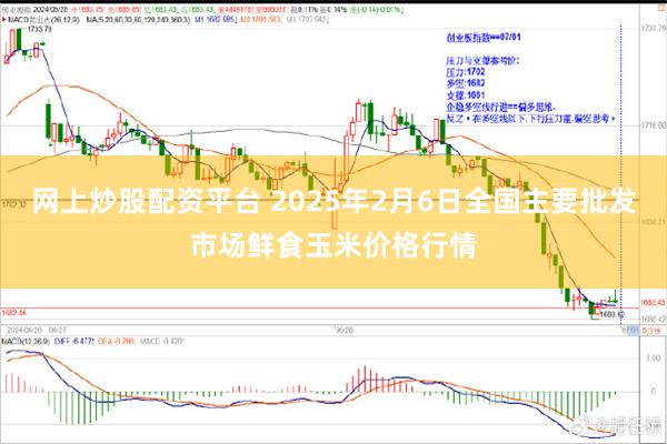 网上炒股配资平台 2025年2月6日全国主要批发市场鲜食玉米价格行情