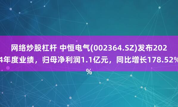 网络炒股杠杆 中恒电气(002364.SZ)发布2024年度业绩，归母净利润1.1亿元，同比增长178.52%